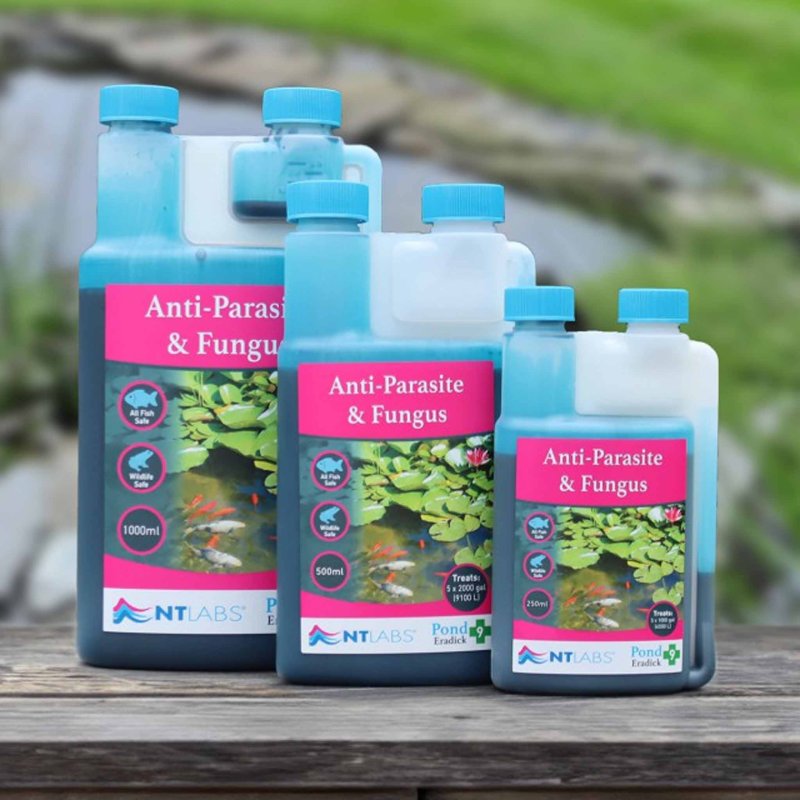 NT Labs Anti-Parasite & Fungus 1L