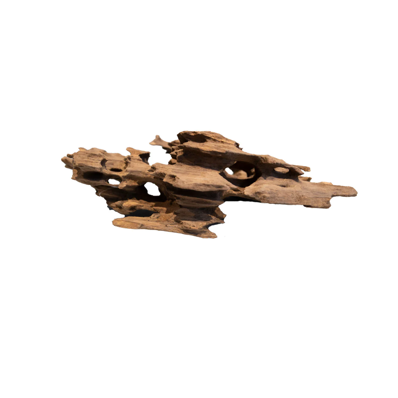 Honeycomb Wood 30-40cm