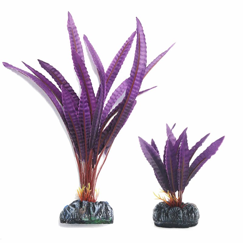 Betta Choice Silk Crypto Balansae Plant