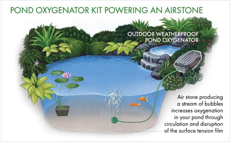 Blagdon Pond Oxygenator Kit Small