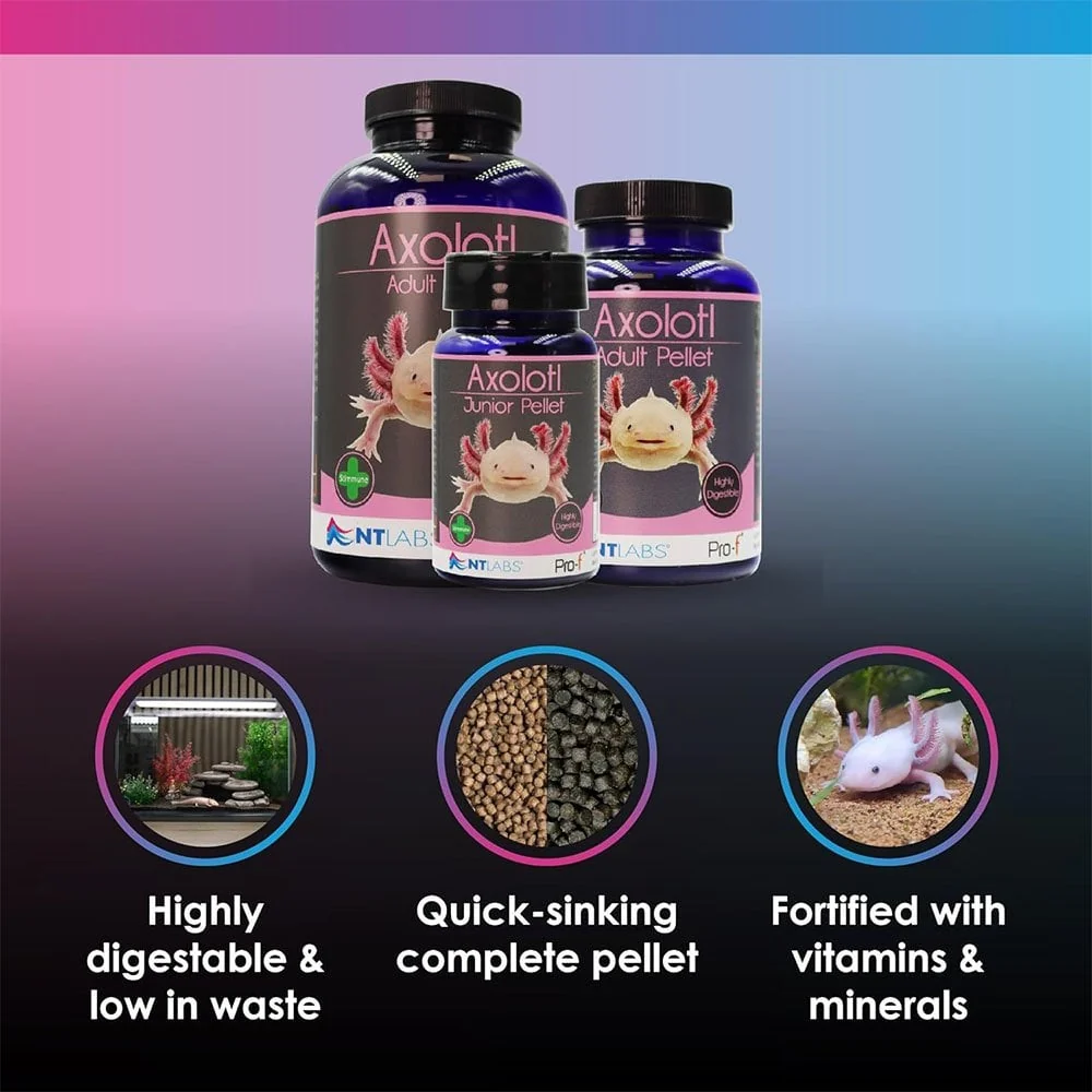 NT Labs Axolotl Junior Pellet 60g