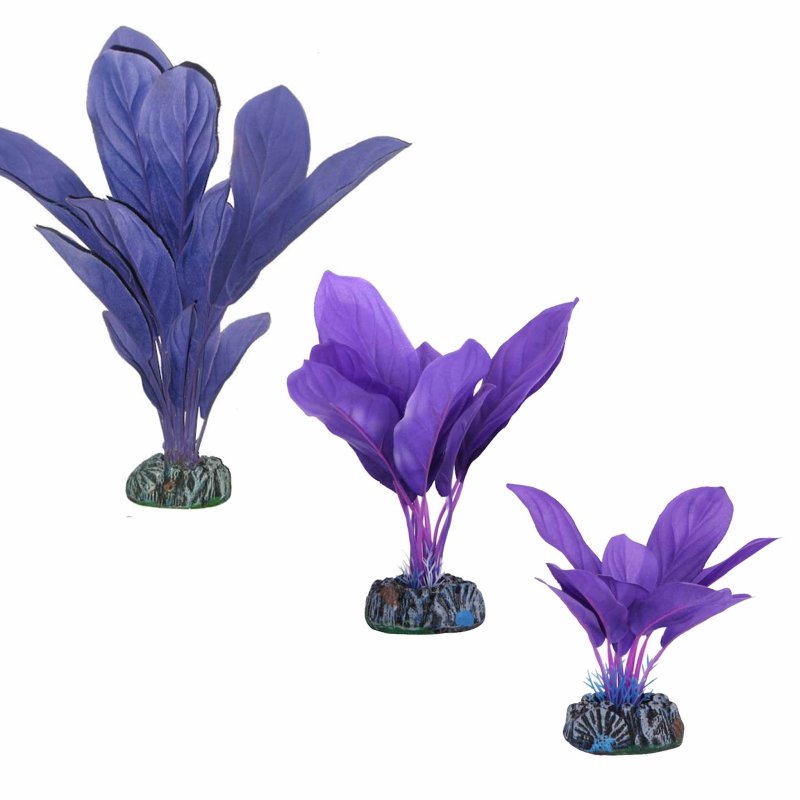 Betta Choice Silk Purple Plant