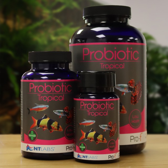NT Labs Probiotic Tropical 120g
