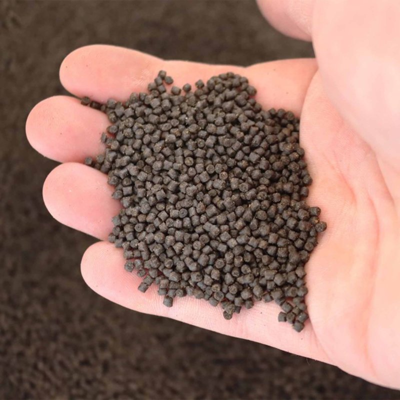 NT Labs Sinking Pond Food 300g