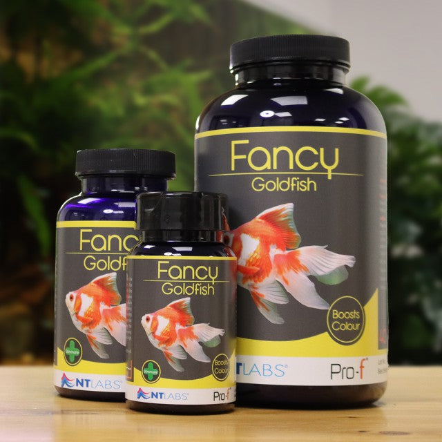 NT Labs Fancy Goldfish 50g
