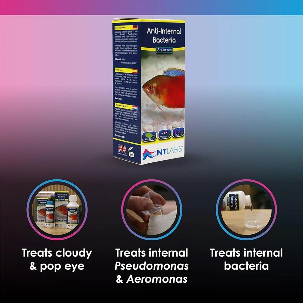 NT Labs Anti-Internal Bacteria 100ml