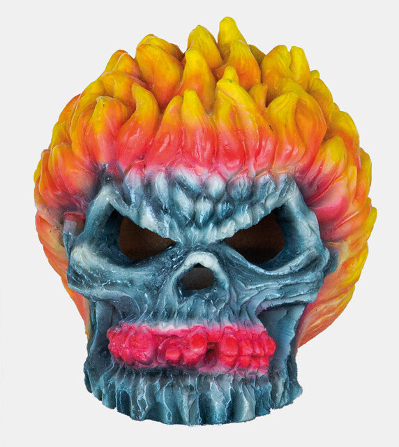 Superfish Monster Fire Skull