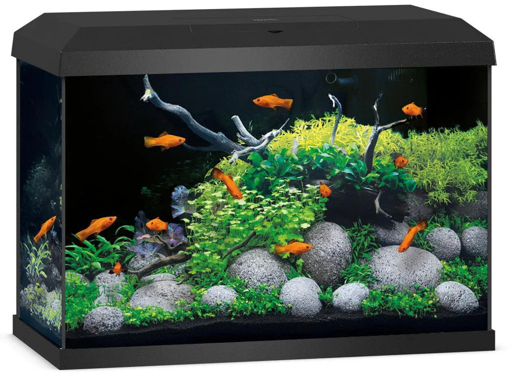 Juwel Primo 70 2.0 Black