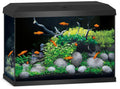 Juwel Primo 70 2.0 Black