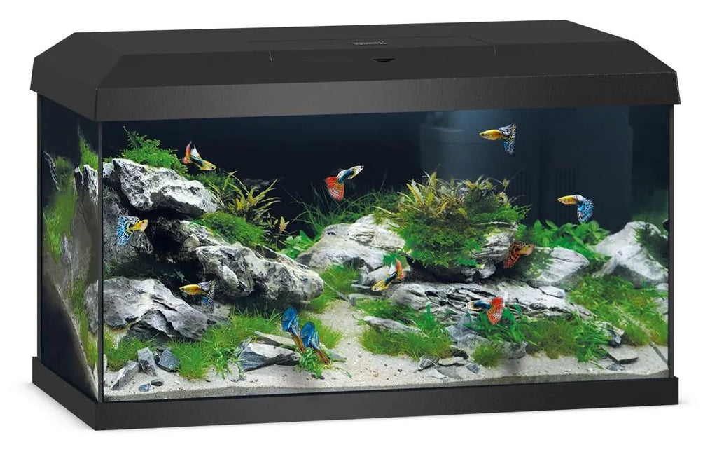 Juwel Primo 60 2.0 Black