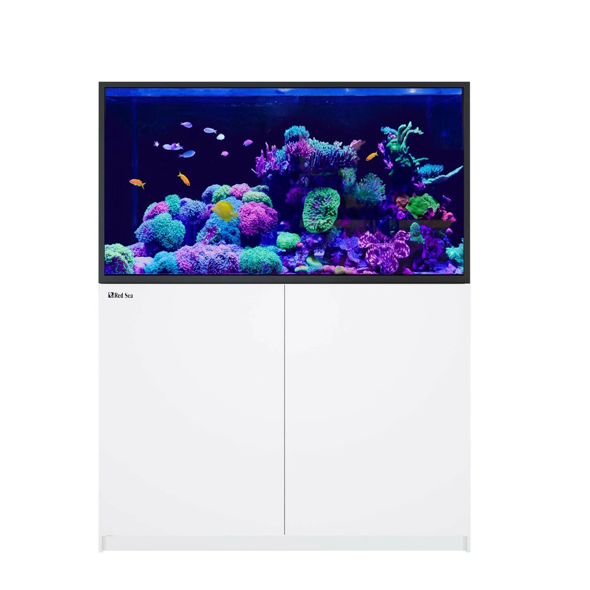REEFER MAX S-550 G3 White