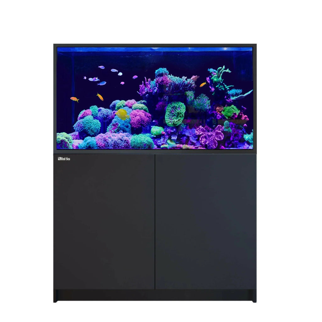REEFER S-550 G3 Black