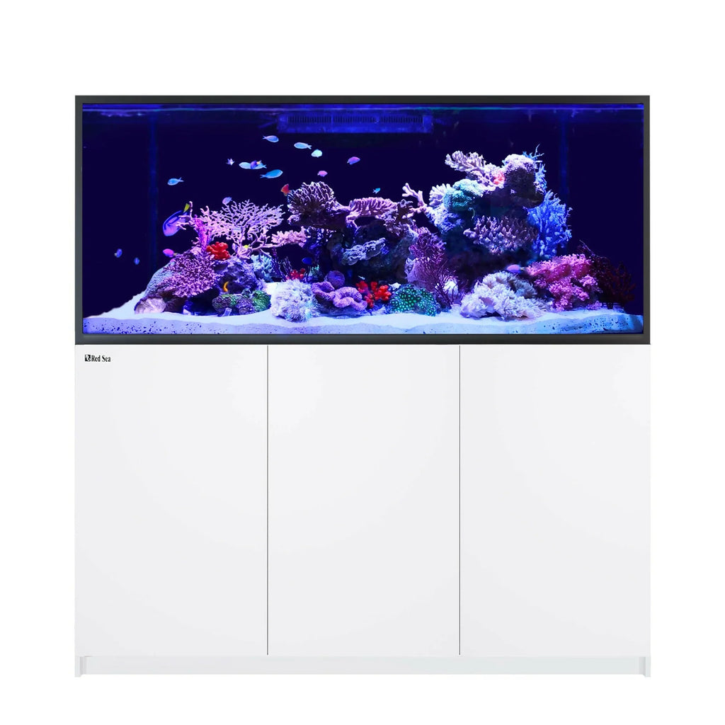 REEFER S-700 G3 White