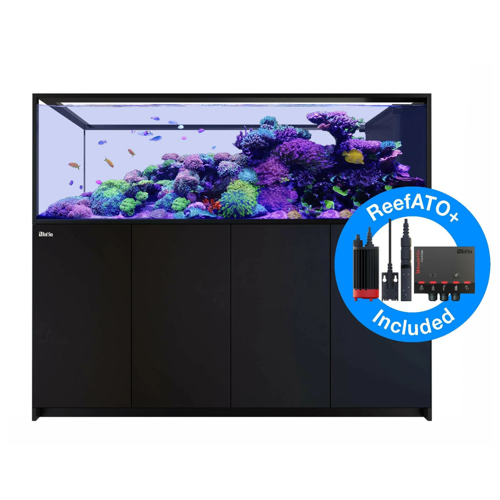REEFER MAX Peninsula S-950 G3 Black