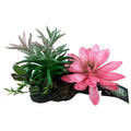 Betta Terra Succulent Garden Decor